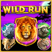 Wild Run Online Slot